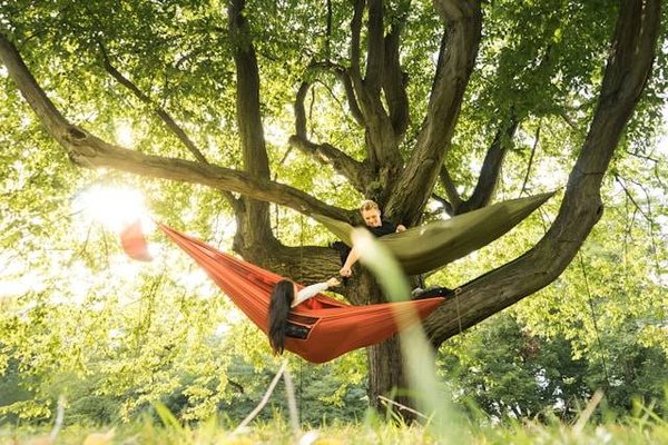 Les Plus Beaux Campings du Luberon : Guide pour des Vacances en Plein Air Inoubliables